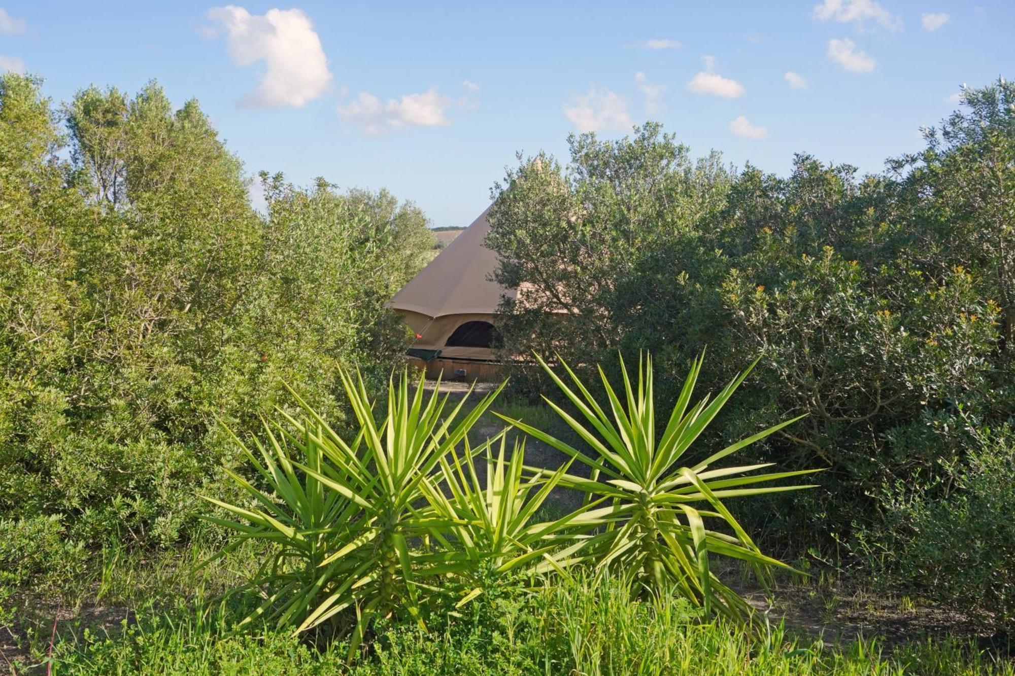 Tranquilo Glamping Hotel Hozanejos Exterior foto