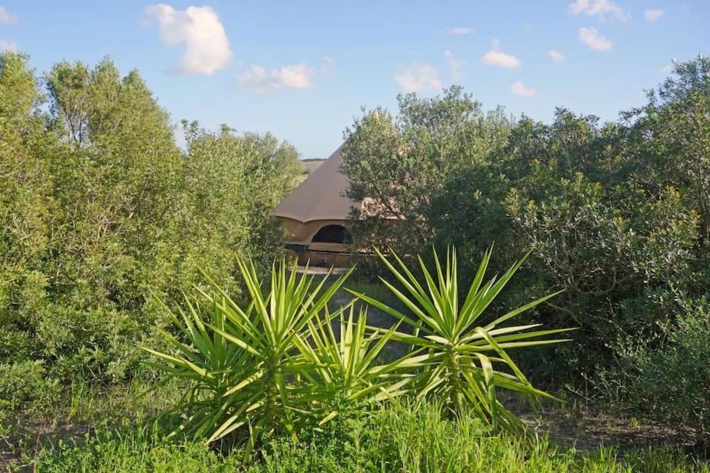 Tranquilo Glamping Hotel Hozanejos Exterior foto